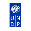 UNDP-100